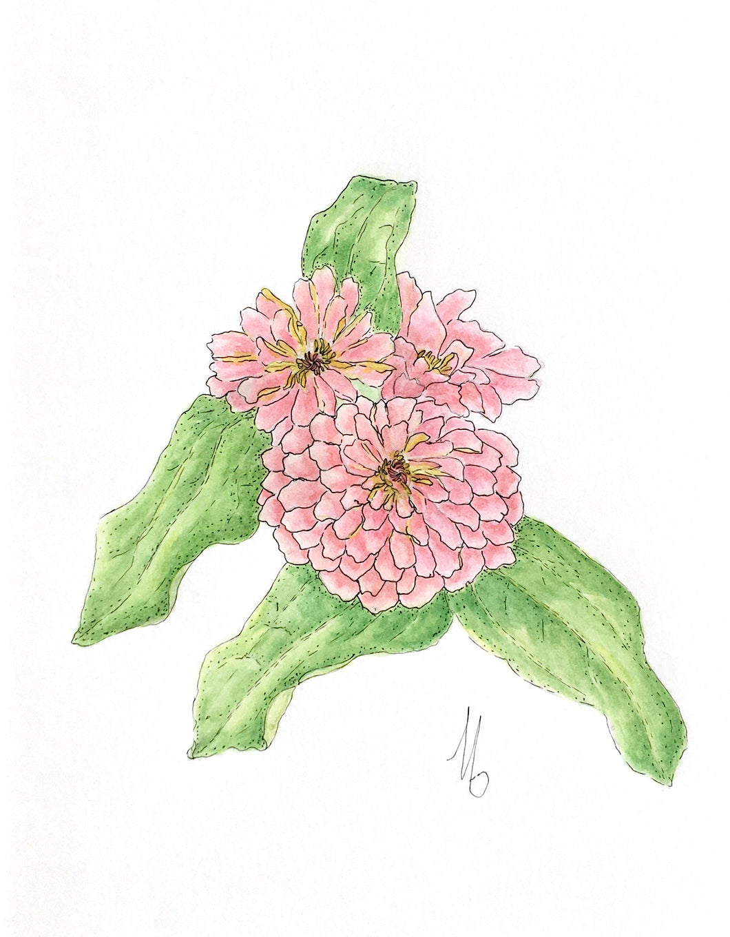 3 Zinnia Pen & Watercolor Original Botanical Sketch 11x14 w/white mat