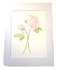 Load image into Gallery viewer, David Austin Rose Watercolor  300lb HP 11x14 with white mat
