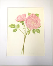 Load image into Gallery viewer, David Austin Rose 2 Original Botanical Watercolor 300lb HP 11x14 with Mat

