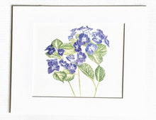 Load image into Gallery viewer, Lace Cap Hydrangea Botanical Watercolor Print on Hahnemuhle Paper 11x14 w/white mat
