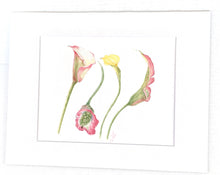 Load image into Gallery viewer, Calla Lilies Botanical Watercolor Print on Hahnemuhle Paper 11x14 with white mat
