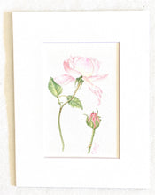 Load image into Gallery viewer, Pink Rose Blossom Botanical Print 8x10 on Hahnemuhle white mat signed initials by artist
