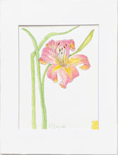 Load image into Gallery viewer, Day Lily Original PEN &amp; WATERCOLOR  on Hahnemuhle paper 11x14 with white mat
