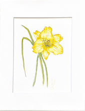Load image into Gallery viewer, Lily Pen &amp; Watercolor Botanical Print on Hahnemuhle paper 11x14 with white mat
