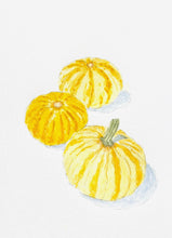 Load image into Gallery viewer, Fall Harvest Pumpkins Original Pen and Watercolor Sketch 8x10 140 lb cp white mat
