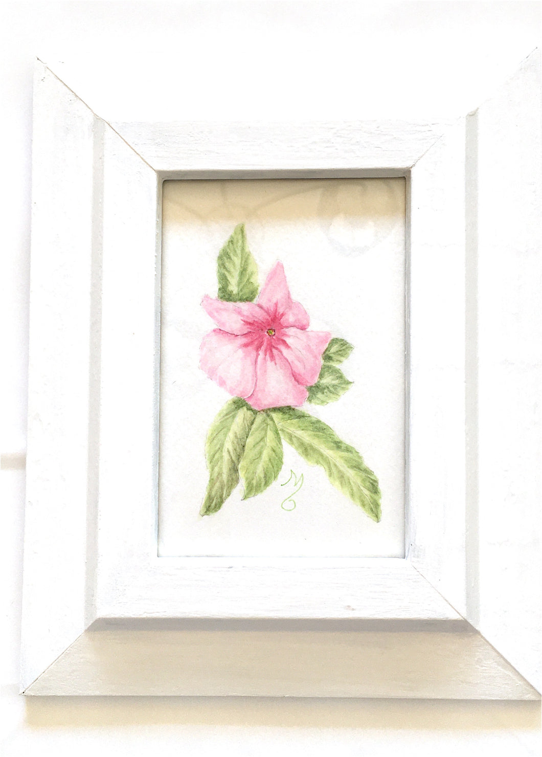 Impatiens Botanical Watercolor in Vintage Frame Original 8x9.5