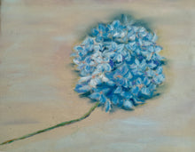 Load image into Gallery viewer, Hydrangea Pastel in Vintage Frame Original Botanical 10.75x8.5
