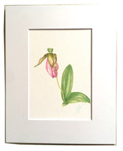 Load image into Gallery viewer, Lady Slipper Botanical Watercolor Print on Hahnemuhle Paper 8x10 white mat
