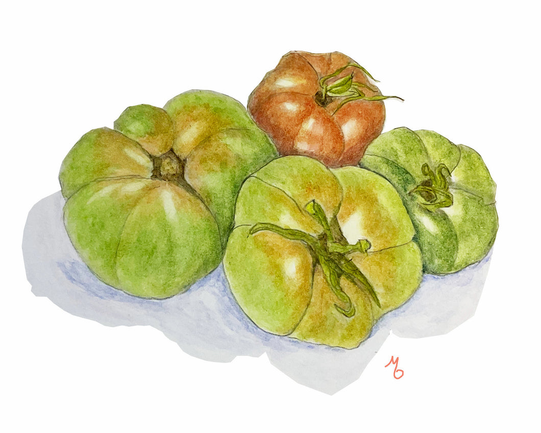 Joe's Garden Tomatoes Print on Hahnemuhle Art Paper 11x14 with mat