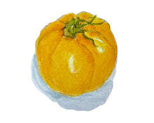 Load image into Gallery viewer, Yellow Tomato Original Watercolor signed 8x10 with white mat - 140 lb cold press
